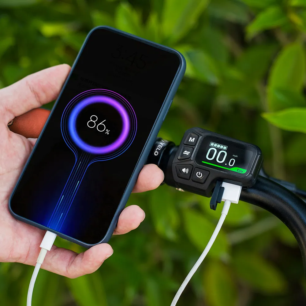 Fiido C11 Pro Leichtes Urban E-Bike - Image 5