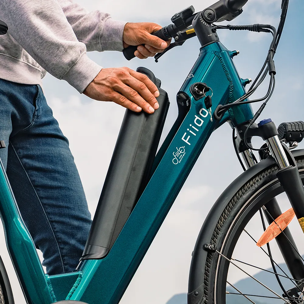 Fiido C11 Leichtes Urban E-Bike - Image 4