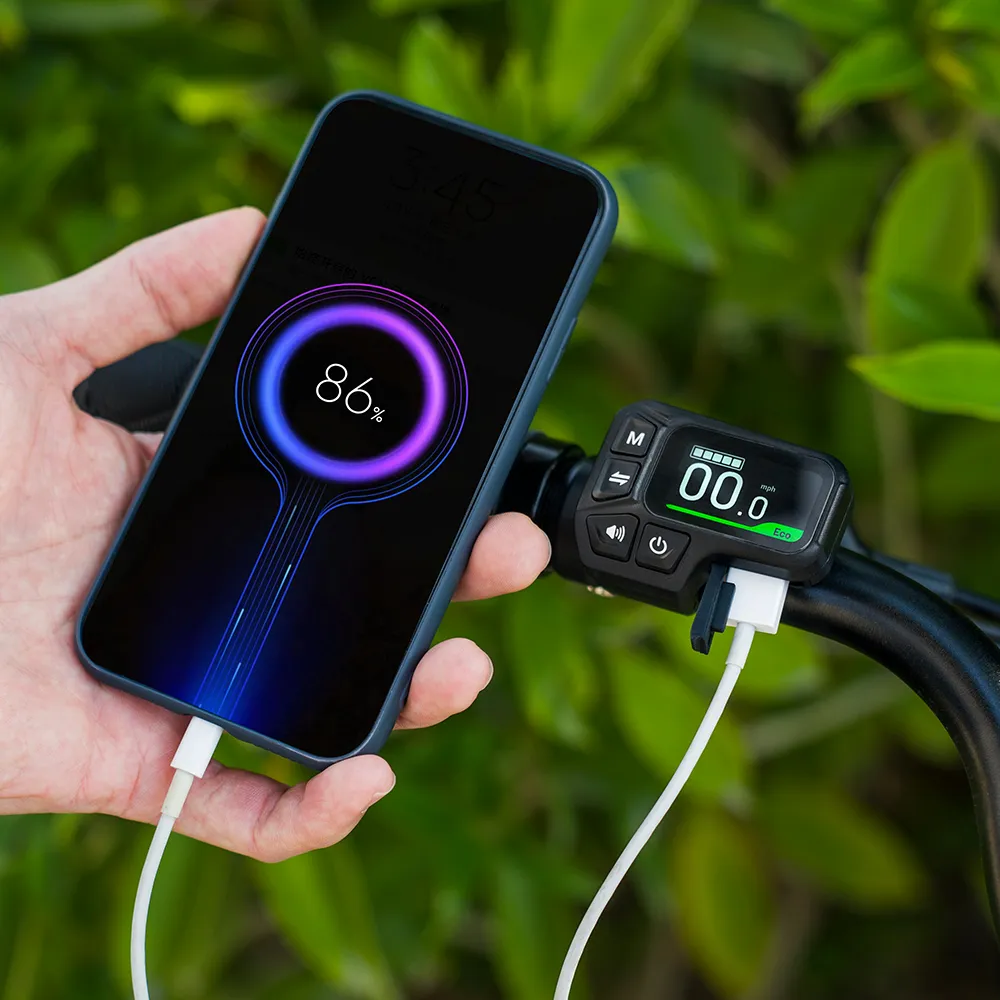 Fiido C11 Leichtes Urban E-Bike - Image 8