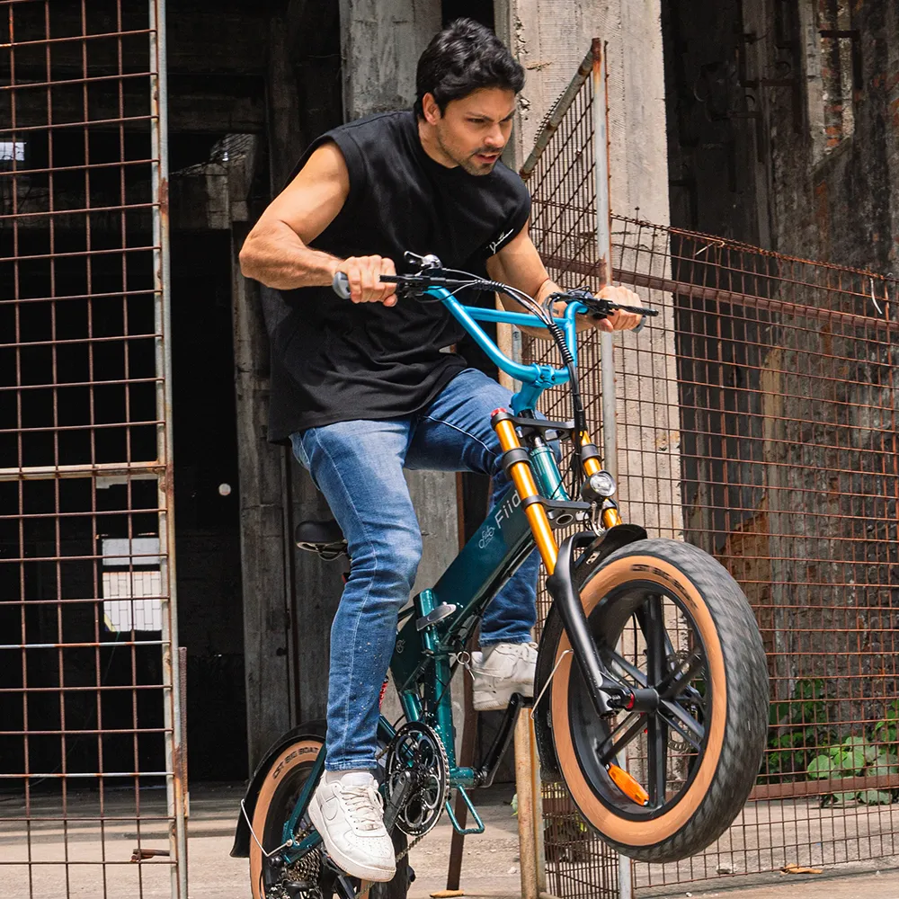 Fiido M1 Pro Fatbike E-Bike - Image 10