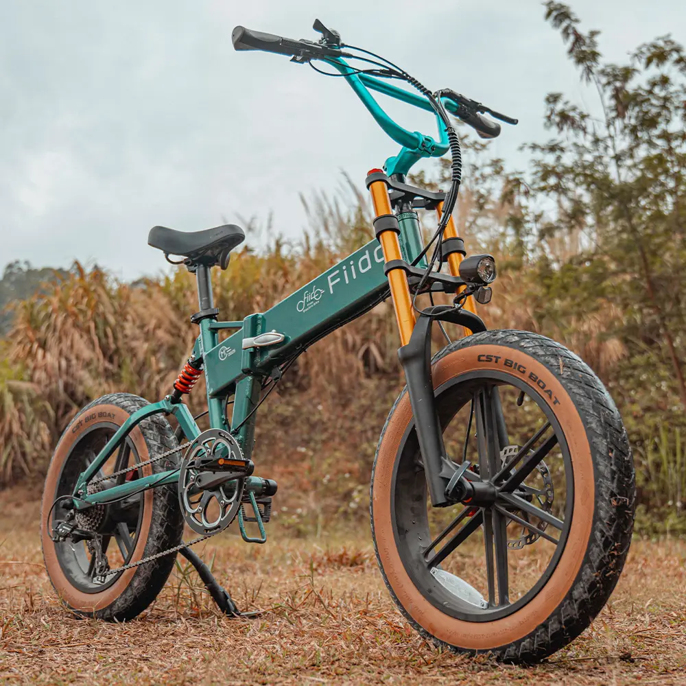 Fiido M1 Pro Fatbike E-Bike - Image 3