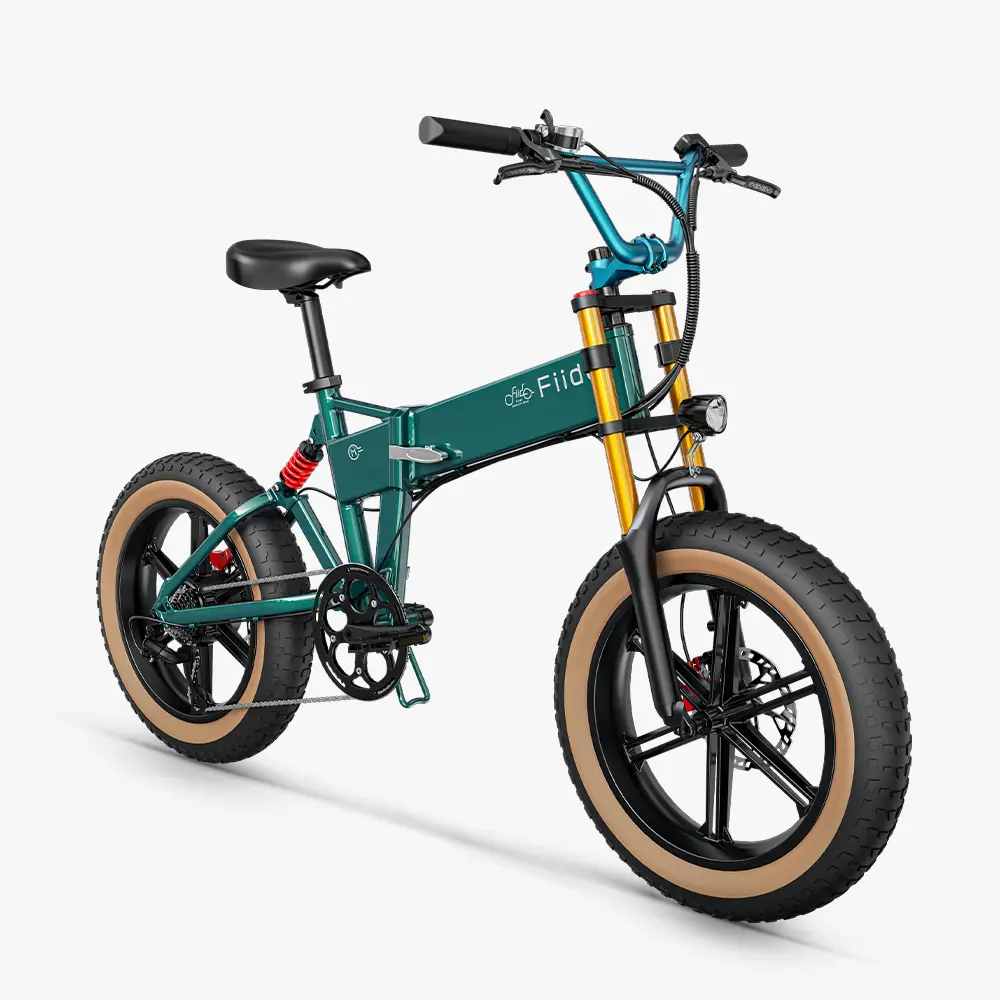 Fiido M1 Pro Fatbike E-Bike - Image 8