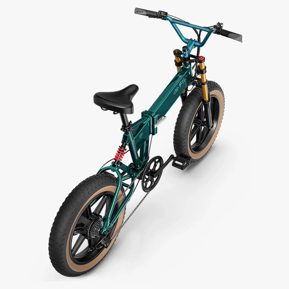 Fiido M1 Pro Fatbike E-Bike - Image 9