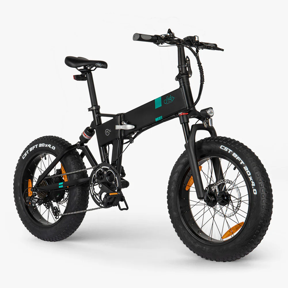 Fiido M21 - 556wh Fatbike Lastenrad E Bike Mit Drehmomentsensor - Image 3