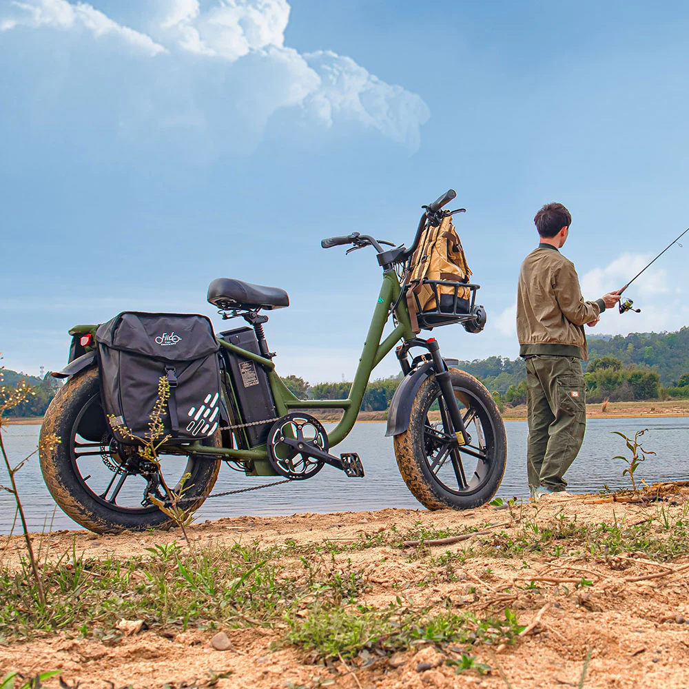 Fiido T1 Pro Leistungsstarkes Lasten-E-Bike mit Fatbike - Image 4