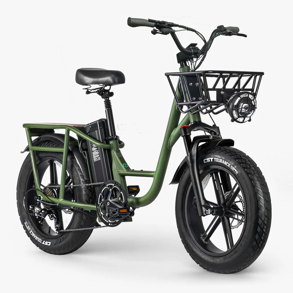 Fiido T1 Pro Leistungsstarkes Lasten-E-Bike mit Fatbike - Image 5
