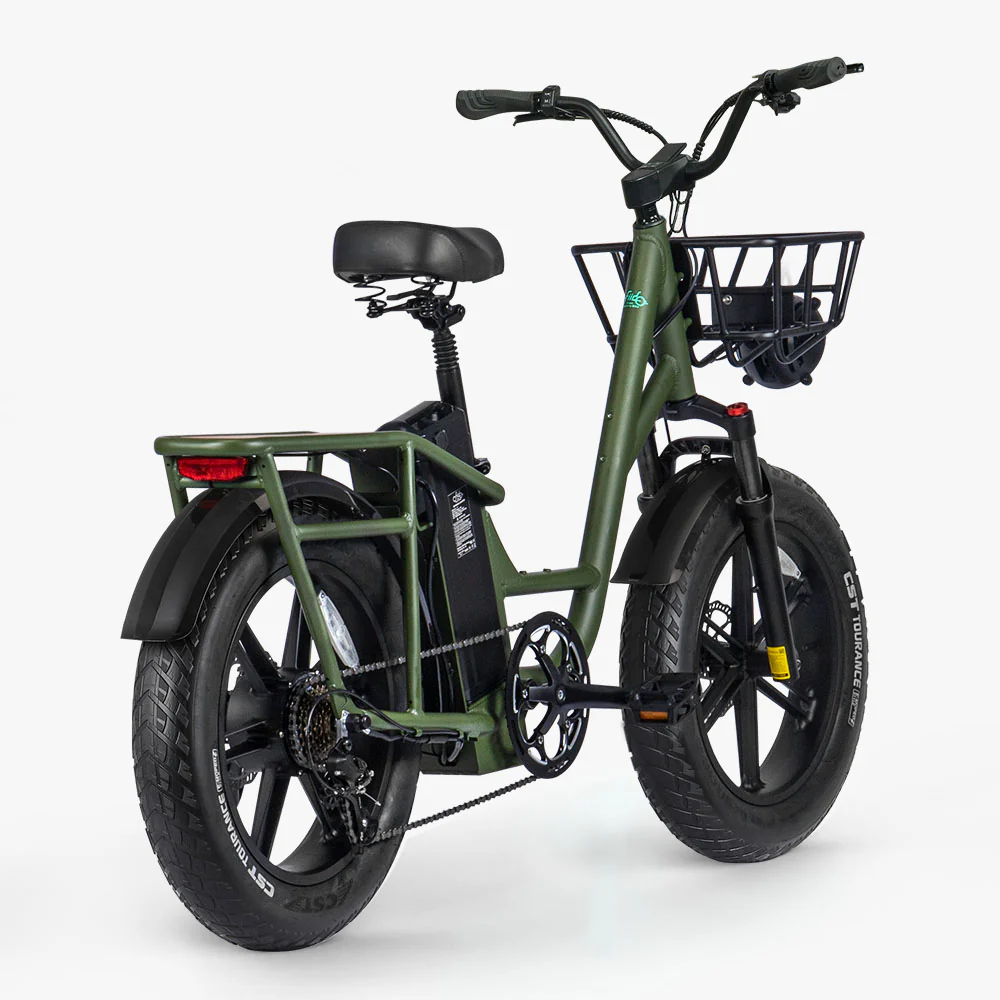 Fiido T1 Pro Leistungsstarkes Lasten-E-Bike mit Fatbike - Image 6