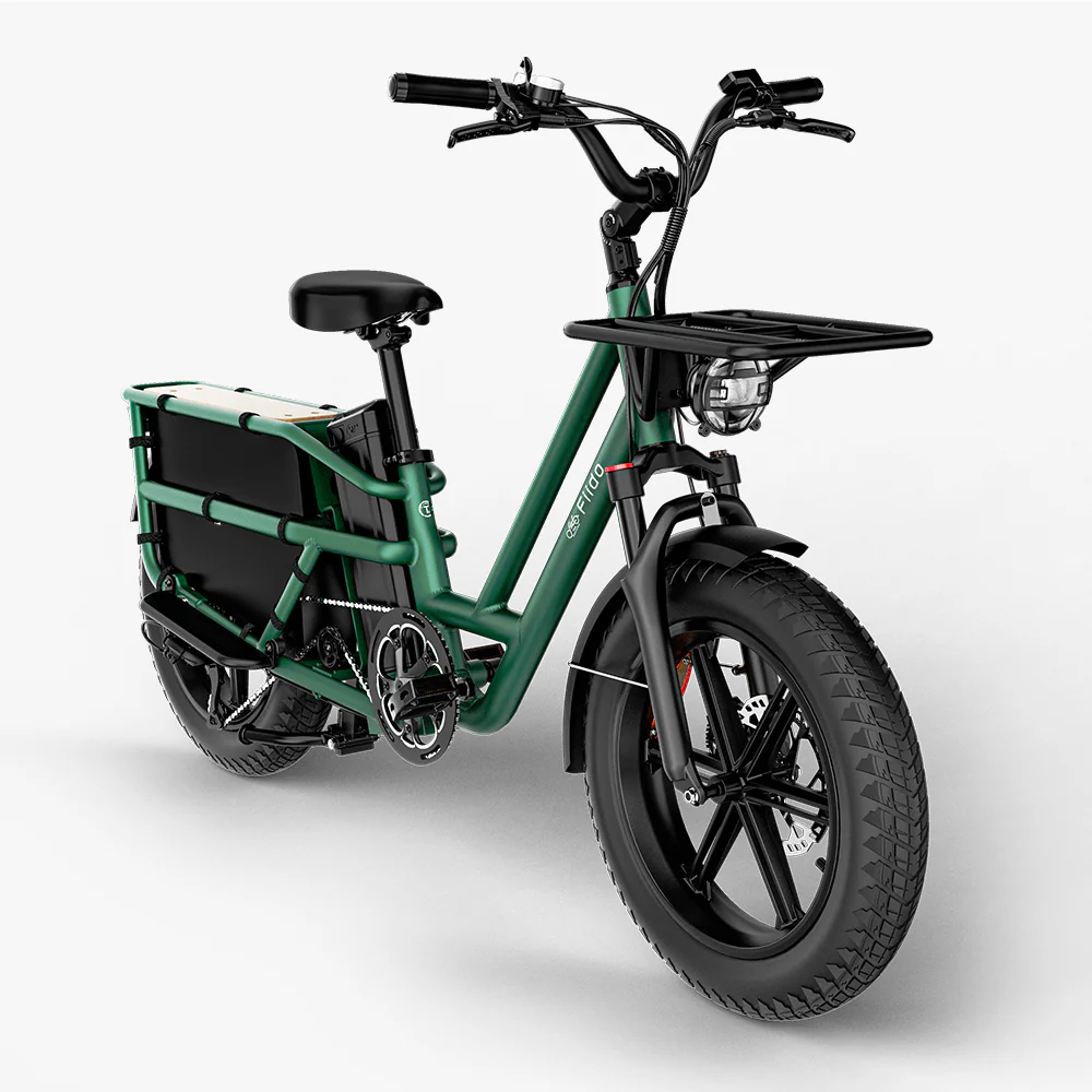 Fiido T2 Longtail Lasten-E-Bike - Image 10