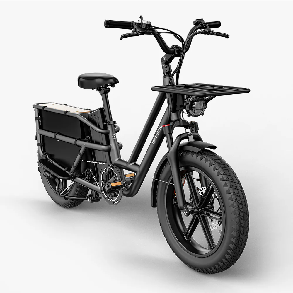 Fiido T2 Longtail Lasten-E-Bike - Image 11