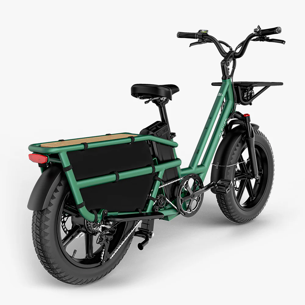 Fiido T2 Longtail Lasten-E-Bike - Image 12