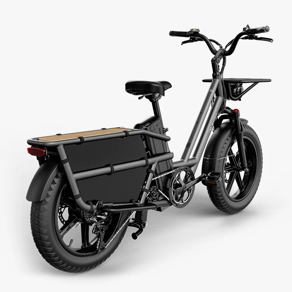 Fiido T2 Longtail Lasten-E-Bike - Image 13