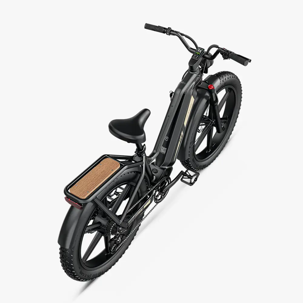 Titan Fat Tire Jagd- und Touren-E-Bike - Große Reichweite - Image 7