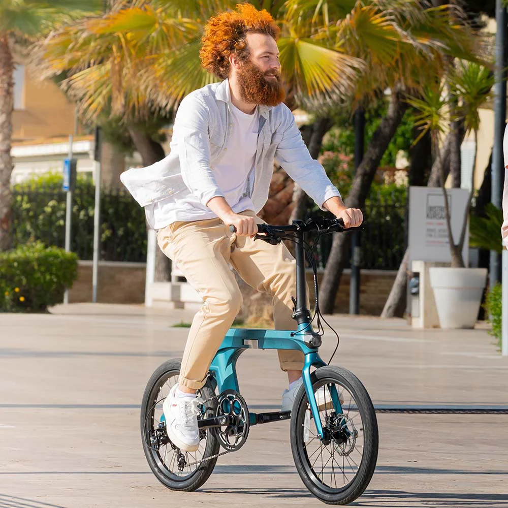 Fiido X Klapprad E-Bike mit Drehmomentsensor - Image 4